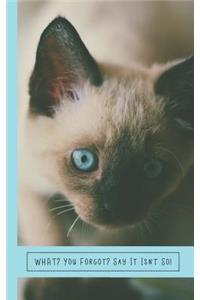 What? You Forgot? Say It Isn't So!