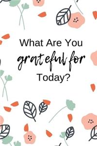 What Are You Grateful for Today?