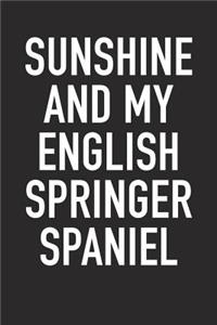 Sunshine and My English Springer Spaniel