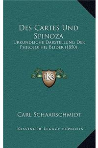 Des Cartes Und Spinoza