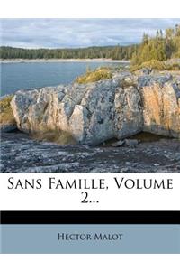 Sans Famille, Volume 2...