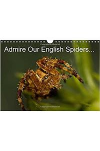 Admire Our English Spiders 2017