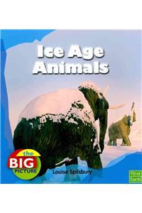 Ice Age Animals