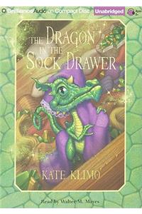 Dragon in the Sock Drawer