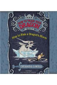 How to Ride a Dragon's Storm