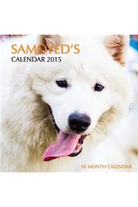 Samoyed Calendar 2015