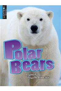 Polar Bears