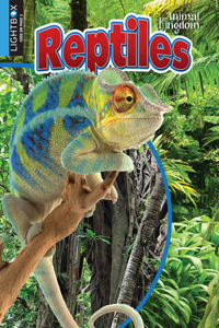 Reptiles