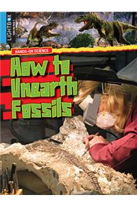 How to Unearth Fossils