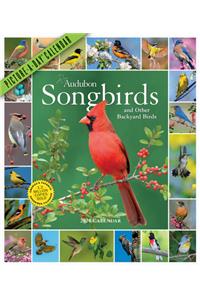 Audubon Songbirds and Other Backyard Birds Picture-A-Day Wall Calendar 2020