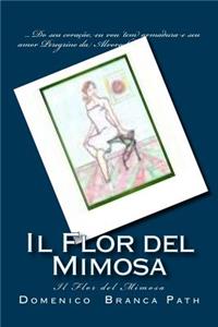 [[Il]] Flor del Mimosa