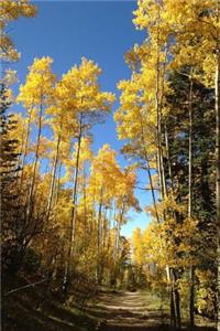 Yellow Leaves on an Aspen Tree in the Fall Journal