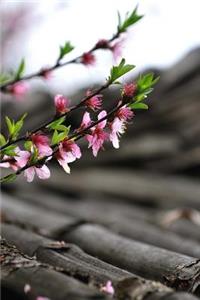 Peach Blossom in Spring Flowering Tree Journal: 150 Page Lined Notebook/Diary