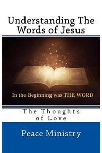Understanding the Words of Jesus