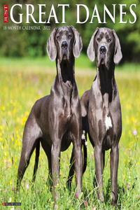Just Great Danes 2022 Wall Calendar (Dog Breed)