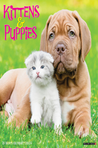 Kittens & Puppies 2024 12 X 12 Wall Calendar