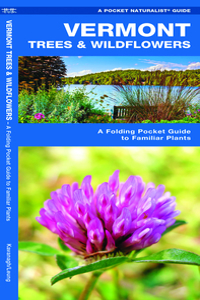 Vermont Trees & Wildflowers