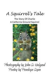 Squirrel's tale, The Story Of Charlie, A California Ground Squirrel