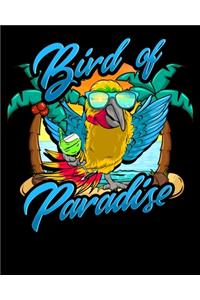Bird Of Paradise