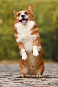 Cute Corgi Notebook