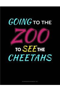 Going To The Zoo To See The Cheetahs