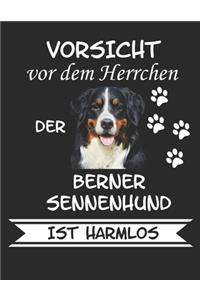 Vorsicht vor dem Herrchen der Berner Sennenhund ist Harmlos