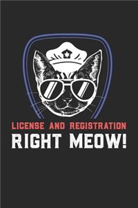 License And Registration RIGHT MEOW
