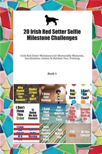 20 Irish Red Setter Selfie Milestone Challenges