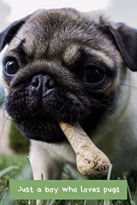 Just A Boy Who Loves Pugs