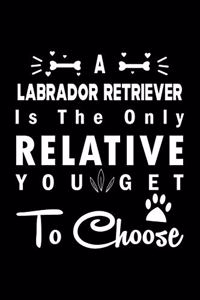A Labrador Retriever is the only Relative you get to choose