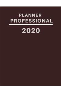 planner professional 2020