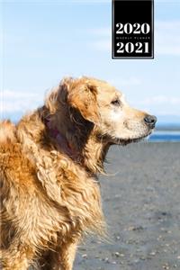Golden Retriever Dog Calendar Week Planner 2020 / 2021 - Beach Time
