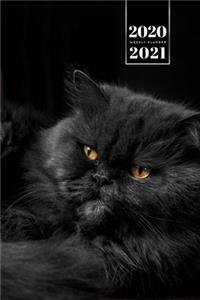 ????? ?? ??? ?? ?? ????? ??? 2020 - 2021 A5 ??????? &