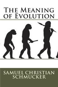 The Meaning of Evolution