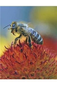 Bee Notebook Large Size 8.5 x 11 Ruled 150 pages Softcover