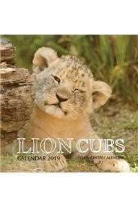 Lion Cubs Calendar 2019