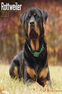 Rottweiler 2021 Wall Calendar