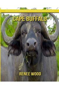 Cape Buffalo