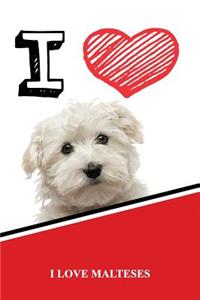 I Love Malteses