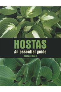 Hostas