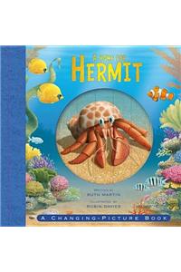Home for Hermit
