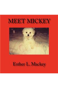 Meet Mickey