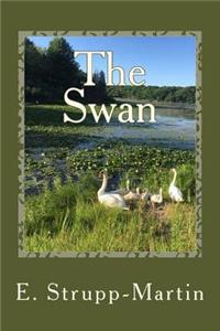 The Swan