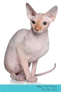 Sphynx Cat Presents