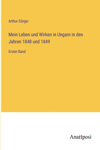 Mein Leben und Wirken in Ungarn in den Jahren 1848 und 1849