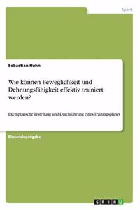 Wie können Beweglichkeit und Dehnungsfähigkeit effektiv trainiert werden?: Exemplarische Erstellung und Durchführung eines Trainingsplanes