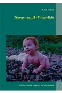 Transparenz II - Winterlicht