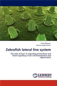 Zebrafish Lateral Line System