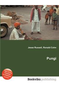 Pungi