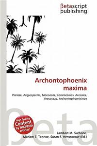 Archontophoenix Maxima